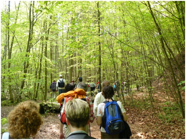 584x433 pixels (196K)